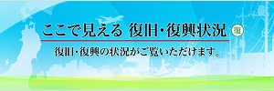 ここで見える復旧・復興状況画像